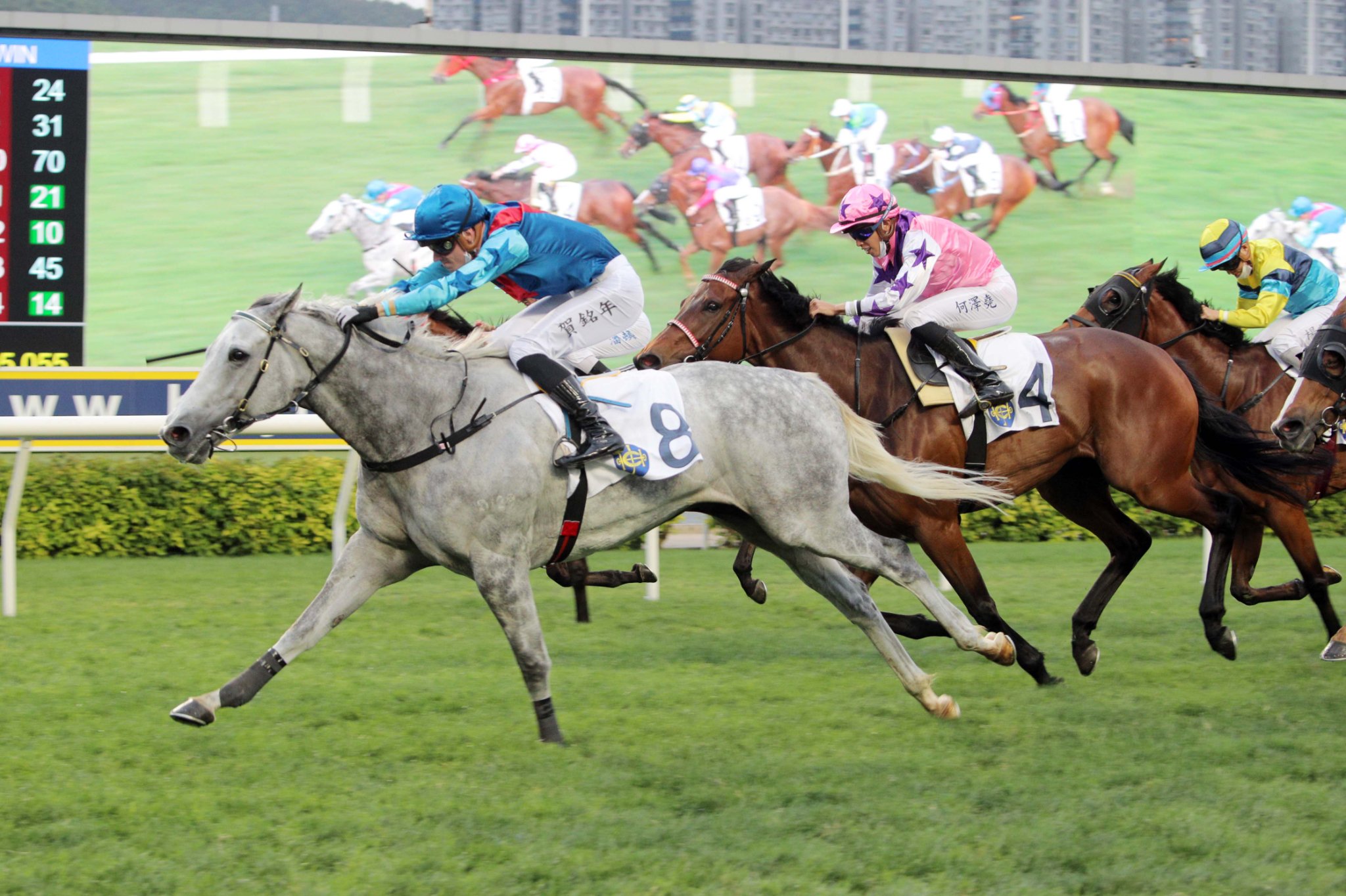 競馬網 競馬網 競馬網 競馬網